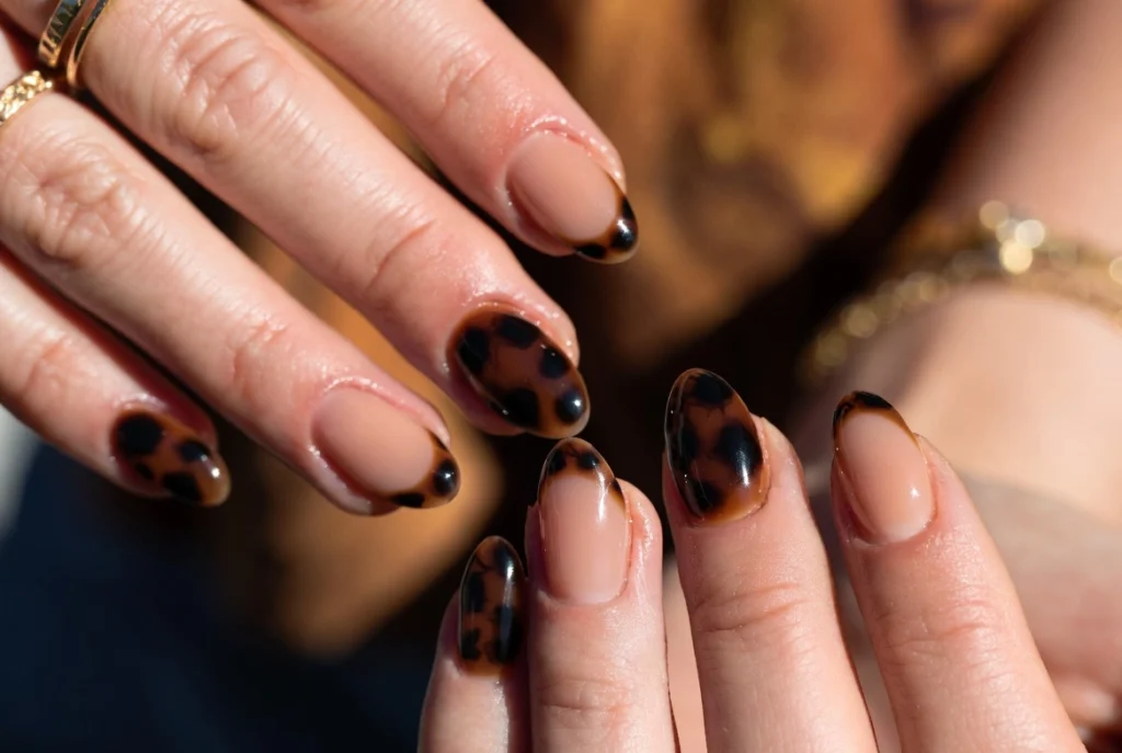 Tortoiseshell Accent